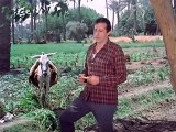 فيلم أفواه وأرانب 1977 كامل بطولة فاتن حمامة ومحمود ياسين