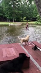 Canines alarm when proprietor swings out and falls into lake, then swim out to save him