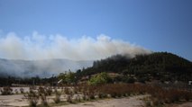 Gelibolu Tarihi Alan bölgesinde çıkan yangın kontrol altına alındı