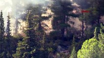 L'incendie de forêt dans le village de Kilitbahir à Çanakkale a été maîtrisé