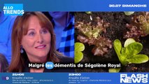 Ségolène Royal clarifie sa nouvelle fonction au sein de TPMP !