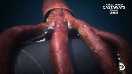 Jaws vs. Kraken: Sea's Top Predator 🦑