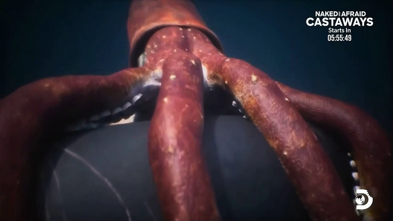 Jaws versus Kraken
