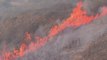 التاسعة هذا المساء | نيران الحرائق دمرت أكثر من 50 ألف هكتار من الغابات في اليونان