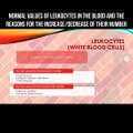 Normal values of leukocytes (white blood cells) in the blood and causes for decrease/increase of their number