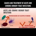 Causes and treatment of acute and chronic urinary tract infections