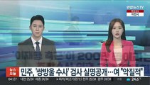 민주, '쌍방울 수사' 검사 실명공개…여 