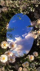 “Flowers don’t tell, they show.”