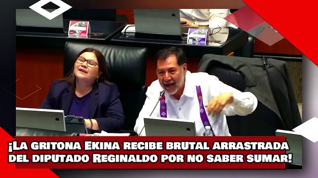 ¡VEAN! ¡La gritona Ekina rabadán recibe brutal arrastrada del diputado Reginaldo por no saber sumar!