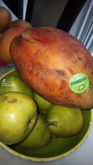 Presentando frutas deliciosas frescas y recien cosechadas de el campo a la mesa