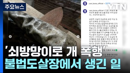 "쇠방망이가 찌그러질 정도로..." 불법도살장에서 생긴 일 [띵동 이슈배달] / YTN