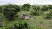 OMG ! Crazy Rhino Attacks Hyenas And Tragic End For Hyenas