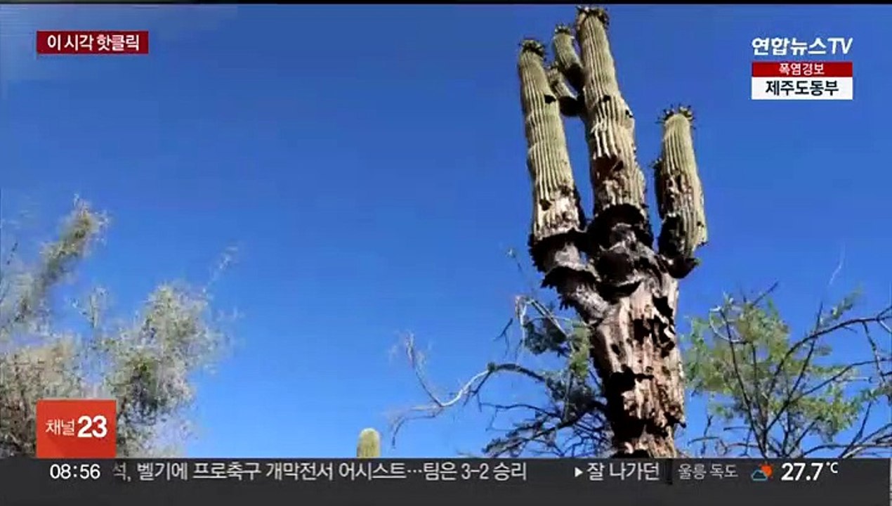 [핫클릭] 중대본, 재난 문자에 '전남' 장수 지진 오기 정정 外