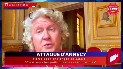 Pierre-Jean Chalençon en colère “C’est vous les politiques les responsables”