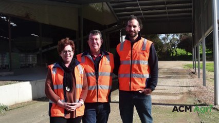 Swan family | July 31 | Stock Journal