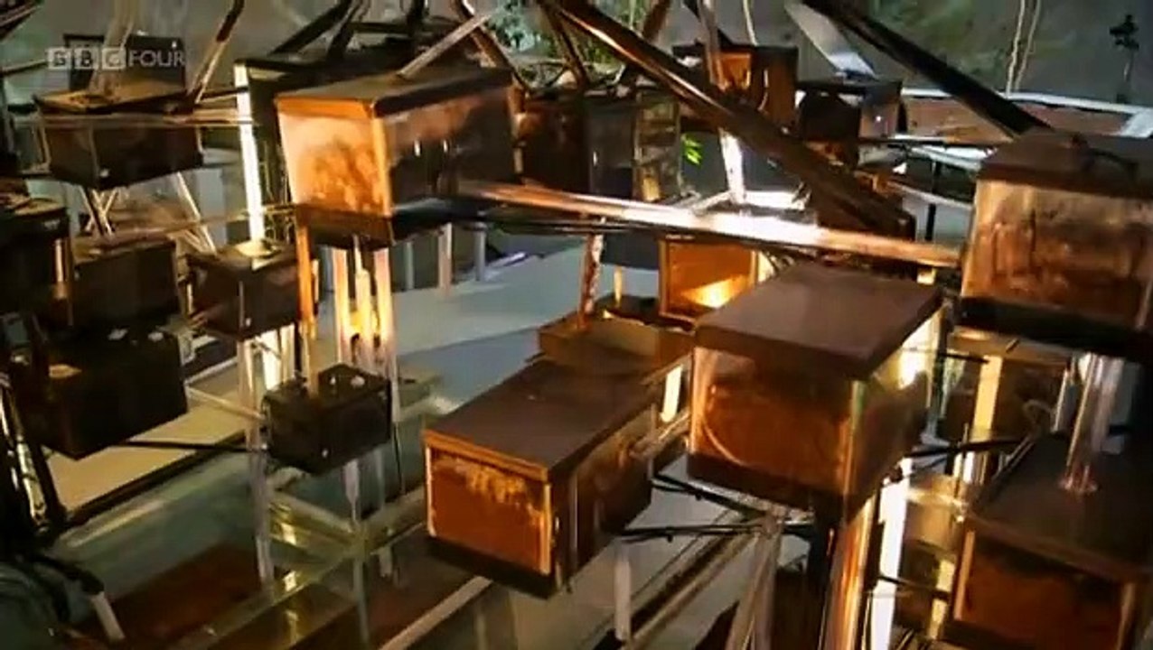 Planet Ant: Life Inside The Colony Bande-annonce (EN)