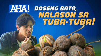 Doseng bata sa Bulacan, nalason ng buto ng tuba-tuba! | AHA!