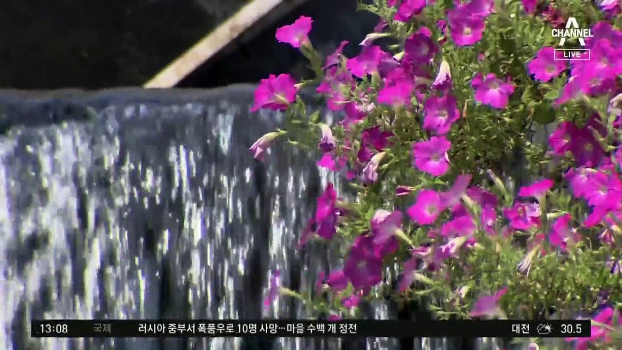 [날씨]전국 대부분 폭염경보, 서울 34°C…곳곳 강한 소나기