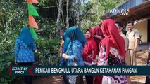 Begini Cara Pemkab Bengkulu Utara Bangun Ketahanan Pangan dan Cegah Stunting