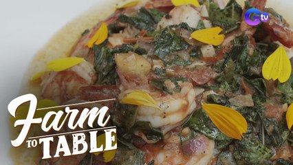 How to Make Ginisang Saluyot with Hipon  | Farm To Table