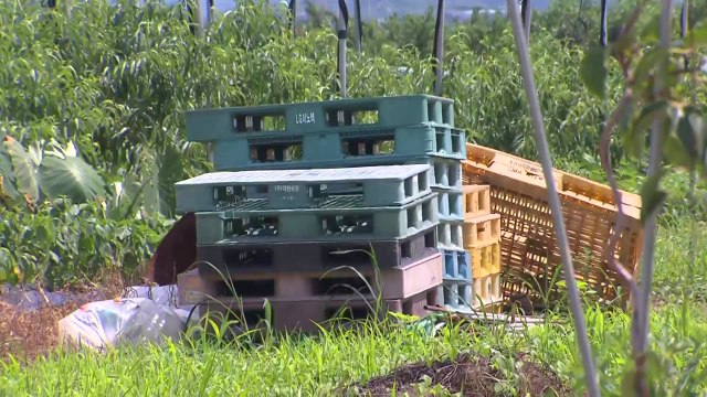 폭염에 농사일 하다 사망 속출...온열질환 '비상' / YTN