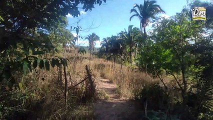 Conheça a Fonte do Camelo em Caldas na cidade de Barbalha