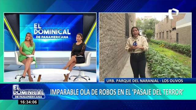 Los Olivos: Ladrones de llevan hasta las compras de mercado la urbanización Parque del Naranjal