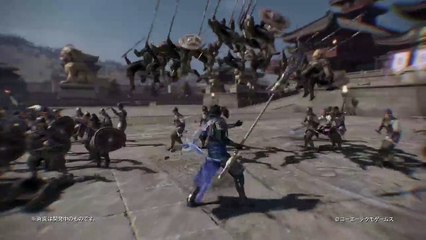 Li Dian Combat Movie Sample (DW9)