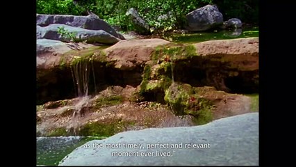 Les années claires | movie | 2015 | Official Trailer