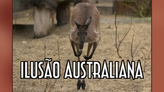 Ilusão Australiana - Vídeo Resposta ao Juninho Santos - EMVB - Emerson Martins Video Blog 2017