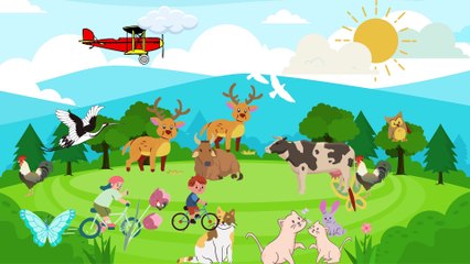 Video animasi - anak bersepeda - padang rumput