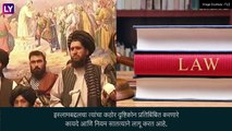 Music Is Un-Islamic: तालिबानने ब्युटी पार्लरनंतर संगीत वाद्यांवर केला फतवा जारी, संगीत वाद्य टाकली पेटवून