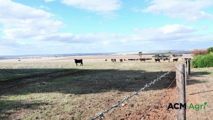 Inglis family | Stock Journal