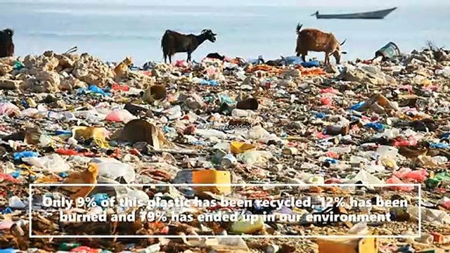 Some Key Facts about Plastic Pollution | Beat Plastic Pollution & Conserve Planet Earth | Education