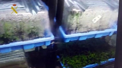 Detenidos en Toledo los miembros de un grupo criminal especializado en 'vuelcos'