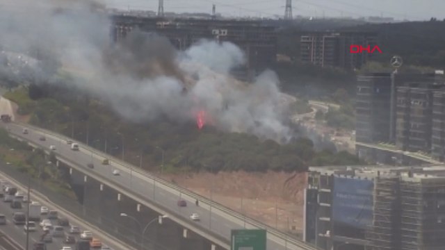 Kağıthane'de TEM Otoyolu kenarında ağaçlarda yangın