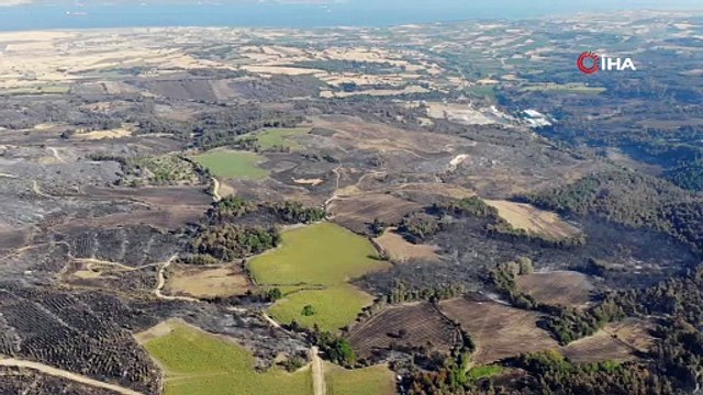 Orman yangınları sonrası Çanakkale'den geriye bu acı görüntü kaldı