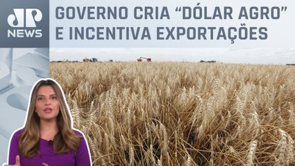 Kellen Severo: Argentina faz nova intervenção no agro
