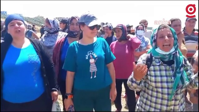 Antakya Dikmece köylülerinin arazilerine jandarma eşliğinde iş makinaları girdi: Keşke bu kalabalığı depremde görseydik