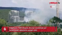 Kağıthane'de TEM Otoyolu kenarında ağaçlarda yangın