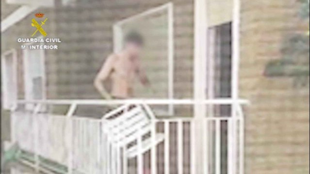 Investigan a un joven por aporrear a su perro con una silla en Colmenar Viejo (Madrid)