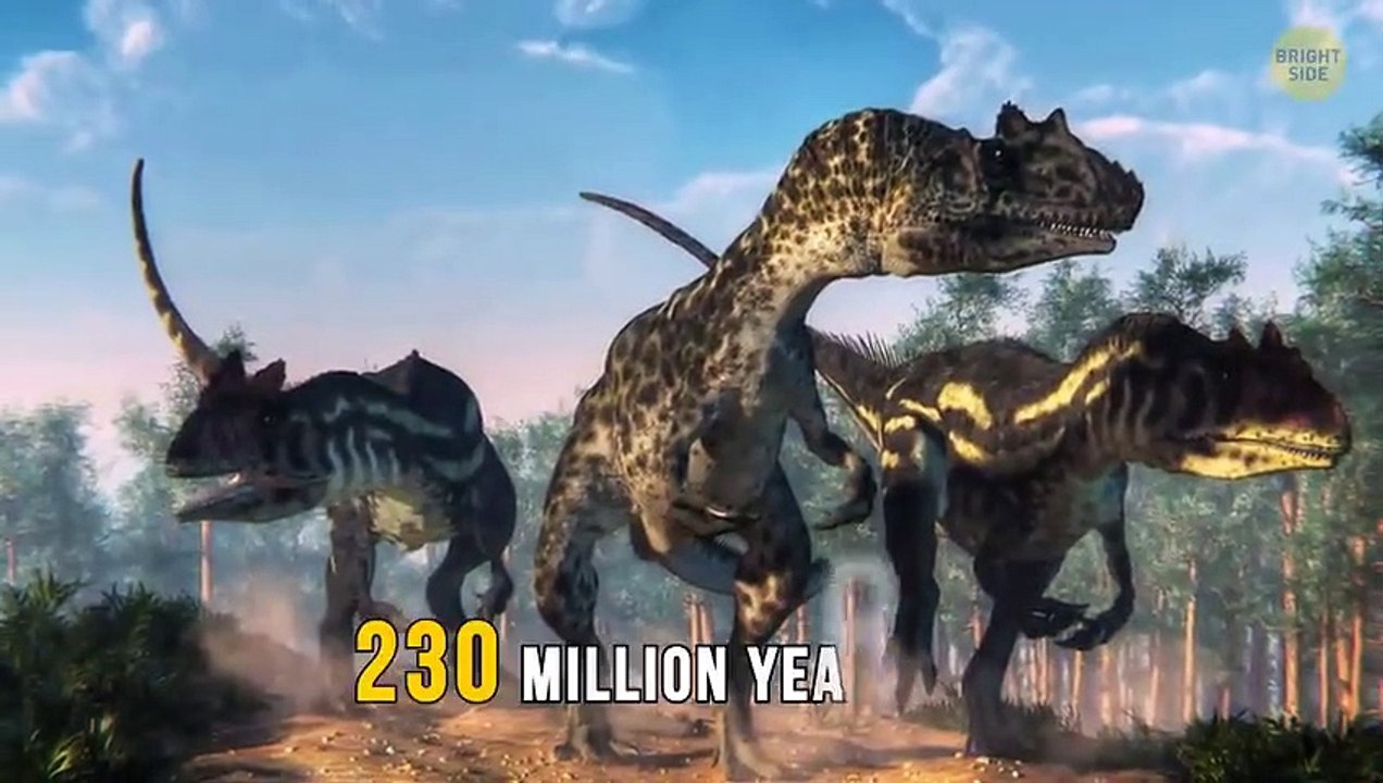 Don't Be Fooled! Unveiling the Myths You Thought Were Facts