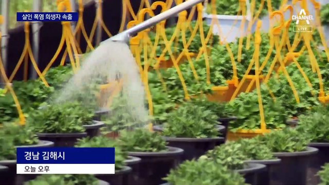 “사람 잡은 더위”…폭염에 전국 곳곳 희생자 속출