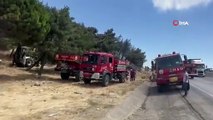 Hatay'daki orman yangını büyümeden söndürüldü