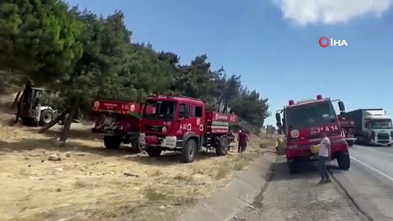 Le feu de forêt à Hatay a été éteint avant qu'il ne grandisse
