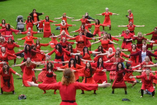 North west news update 31 July 2023: 'Kate Bushes' provide a bizarre sight in park