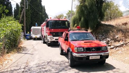 Φωτιά στο Δίστομο: Σε απόσταση αναπνοής από τα σπίτια