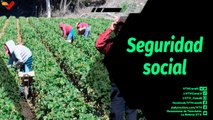 Al Aire | Ley Especial para los Trabajadores y Trabajadoras Agrícolas