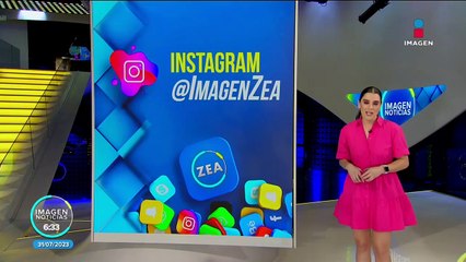 Perritos son captados en una videollamada