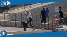 Brigitte Macron décontractée à Brégançon  première sortie avec son chien Nemo !